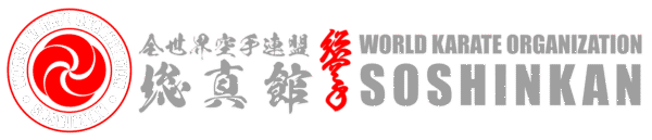 Soshinkan Karate • Сошинкан Карате • Full Contact Karate • Shin Karate • 総真館空手